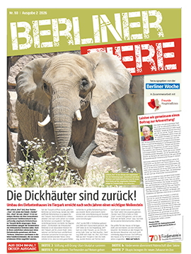 Die Dickhäuter sind zurück