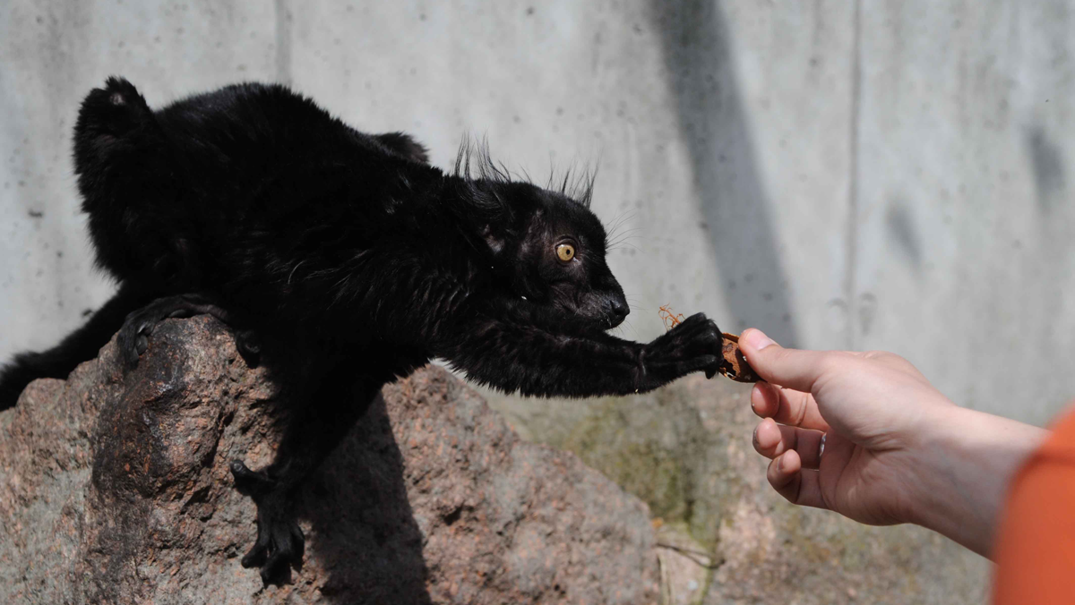 Tierpark wird zum Klassenzimmer für Jung & Alt.