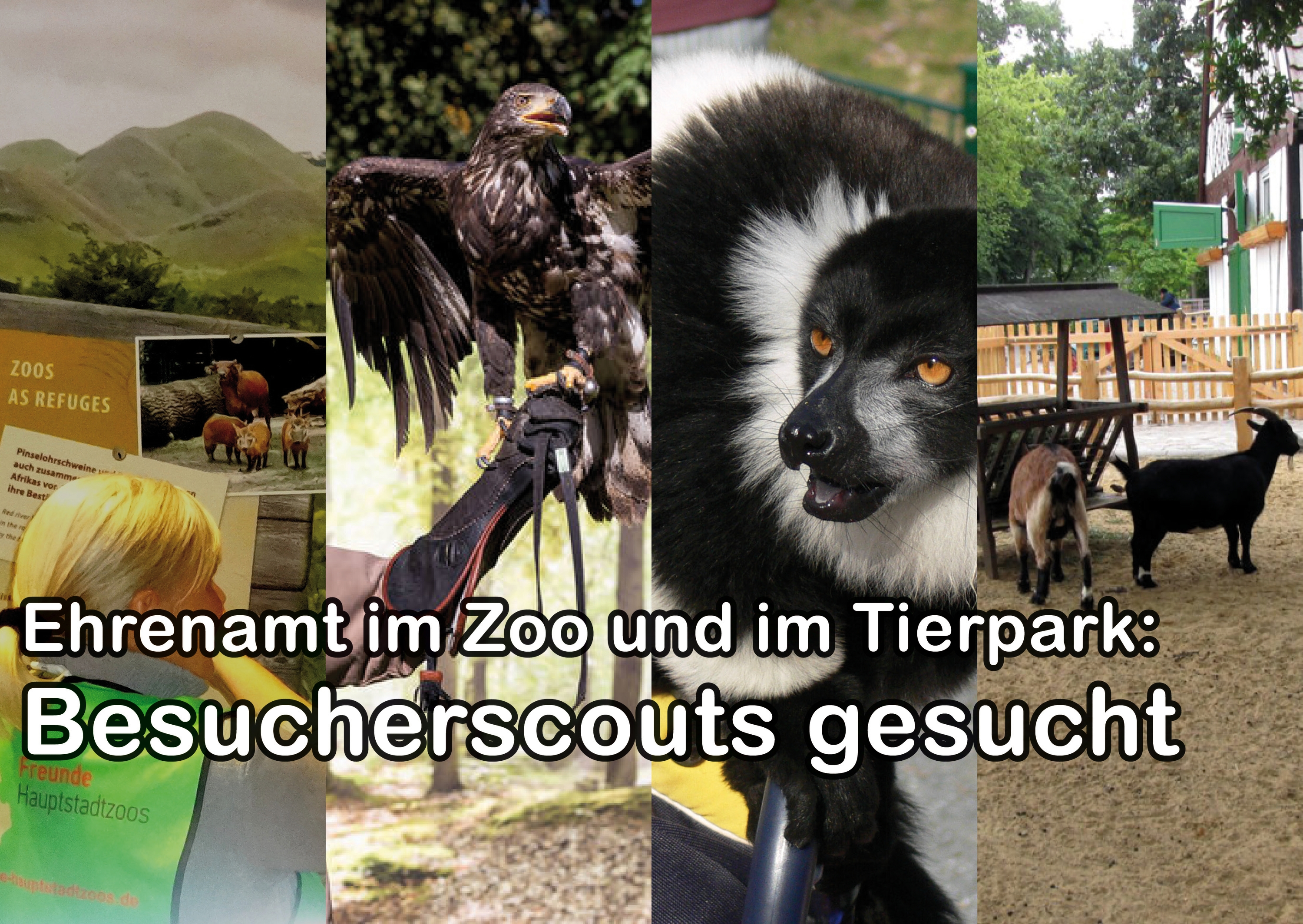 Ehrenamt - Freiwillige Arbeit - Besucherscouts - Tierpark Berlin - Zoo Berlin - Aktuelles